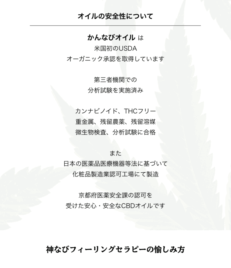 かんなび１３